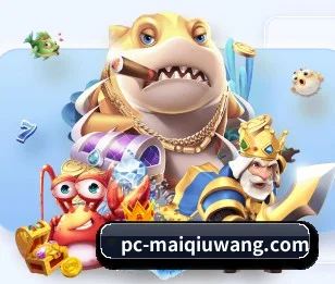 买球网客户端 APP